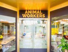 Coworking Boadilla del Monte Animal Workers