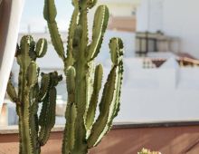 Coworking Las Palmas de Gran Canaria Cool Beans