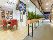 Coworking Alicante Terretup