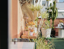 Coworking Las Palmas de Gran Canaria Cool Beans