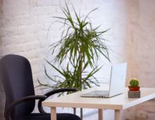 Coworking Barcelona El Columpio Studio Coworking