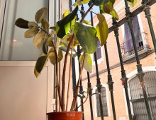 Coworking Sevilla THCO: Pasaje Mallol | Centro, Sevilla