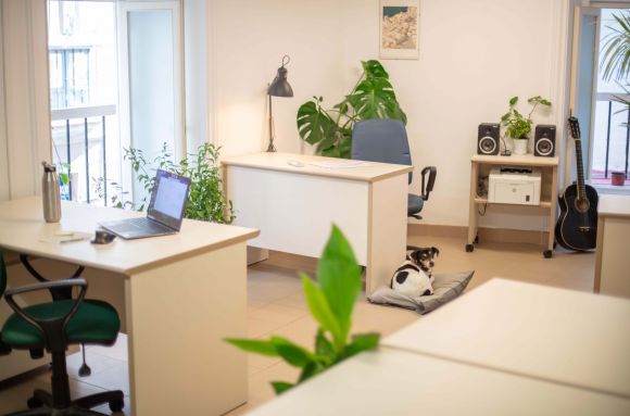 Coworking Cádiz Flamen Coworking