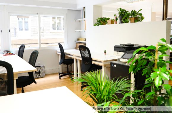 Coworking Zaragoza La Proyectoteca Coworking Zaragoza