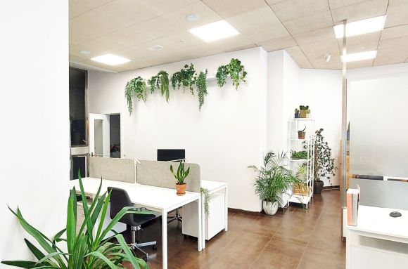 Centro de negocios con coworking Burgos BUHUB SA40